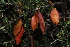  ( - OM2942)  @11 [ ] CreativeCommons - Attribution Non-Commercial Share-Alike (2011) Olivier Maurin University of Johannesburg