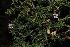  ( - OM2993)  @11 [ ] CreativeCommons - Attribution Non-Commercial Share-Alike (2011) Olivier Maurin University of Johannesburg