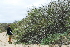  ( - OM3013)  @11 [ ] CreativeCommons - Attribution Non-Commercial Share-Alike (2011) Olivier Maurin University of Johannesburg