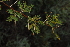  ( - OM3013)  @11 [ ] CreativeCommons - Attribution Non-Commercial Share-Alike (2011) Olivier Maurin University of Johannesburg
