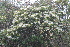  ( - OM3189)  @11 [ ] CreativeCommons - Attribution Non-Commercial Share-Alike (2011) Olivier Maurin University of Johannesburg
