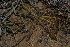  ( - OM3206)  @11 [ ] CreativeCommons - Attribution Non-Commercial Share-Alike (2011) Olivier Maurin University of Johannesburg