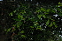  ( - OM3241)  @11 [ ] CreativeCommons - Attribution Non-Commercial Share-Alike (2011) Olivier Maurin University of Johannesburg