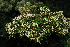  ( - OM3271)  @11 [ ] CreativeCommons - Attribution Non-Commercial Share-Alike (2011) Olivier Maurin University of Johannesburg