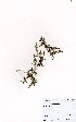 ( - OM3470)  @11 [ ] No Rights Reserved  Unspecified Unspecified