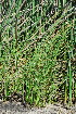  ( - OM3638)  @11 [ ] CreativeCommons - Attribution Non-Commercial Share-Alike (2011) Olivier Maurin University of Johannesburg