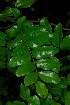  ( - OM3670)  @11 [ ] CreativeCommons - Attribution Non-Commercial Share-Alike (2011) Olivier Maurin University of Johannesburg
