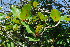  ( - OM3674)  @11 [ ] CreativeCommons - Attribution Non-Commercial Share-Alike (2011) Olivier Maurin University of Johannesburg