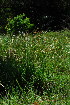  ( - OM3683)  @11 [ ] CreativeCommons - Attribution Non-Commercial Share-Alike (2011) Olivier Maurin University of Johannesburg