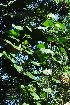  ( - OM3687)  @11 [ ] CreativeCommons - Attribution Non-Commercial Share-Alike (2011) Olivier Maurin University of Johannesburg