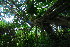  ( - OM3758)  @11 [ ] CreativeCommons - Attribution Non-Commercial Share-Alike (2011) Olivier Maurin University of Johannesburg