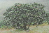  ( - OM3816)  @11 [ ] CreativeCommons - Attribution Non-Commercial Share-Alike (2011) Olivier Maurin University of Johannesburg