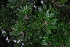  ( - OM3819)  @11 [ ] CreativeCommons - Attribution Non-Commercial Share-Alike (2011) Olivier Maurin University of Johannesburg
