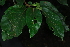  ( - OM3841)  @11 [ ] CreativeCommons - Attribution Non-Commercial Share-Alike (2011) Olivier Maurin University of Johannesburg