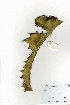  ( - OM3972)  @11 [ ] No Rights Reserved  Unspecified Unspecified
