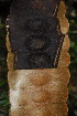  ( - OM3981)  @11 [ ] CreativeCommons - Attribution Non-Commercial Share-Alike (2012) Olivier Maurin University of Johannesburg