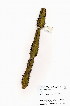  ( - OM3989)  @11 [ ] No Rights Reserved  Unspecified Unspecified