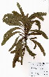  ( - OM4013)  @11 [ ] No Rights Reserved  Unspecified Unspecified