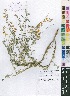  ( - OM4072)  @11 [ ] No Rights Reserved  Unspecified Unspecified