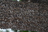  ( - OM4106)  @11 [ ] CreativeCommons - Attribution Non-Commercial Share-Alike (2013) Olivier Maurin University of Johannesburg, African Centre for DNA Barcoding (ACDB)