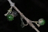  ( - OM4156)  @11 [ ] CreativeCommons - Attribution Non-Commercial Share-Alike (2013) Olivier Maurin University of Johannesburg, African Centre for DNA Barcoding (ACDB)