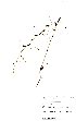  ( - OM0654)  @11 [ ] No Rights Reserved  Unspecified Unspecified