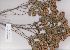  ( - Dludlu98)  @11 [ ] No Rights Reserved  Unspecified Unspecified