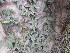  ( - PPRI-0019)  @11 [ ] No Rights Reserved  Unspecified Unspecified