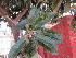  ( - PPRI-0020)  @11 [ ] No Rights Reserved  Unspecified Unspecified