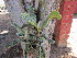  ( - PPRI-0020)  @11 [ ] No Rights Reserved  Unspecified Unspecified