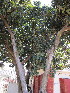  ( - PPRI-0020)  @11 [ ] No Rights Reserved  Unspecified Unspecified