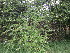  ( - PPRI-0025)  @11 [ ] No Rights Reserved  Unspecified Unspecified