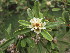  ( - PPRI-0025)  @11 [ ] No Rights Reserved  Unspecified Unspecified