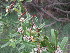  ( - PPRI-0025)  @11 [ ] No Rights Reserved  Unspecified Unspecified