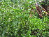  ( - PPRI-0030)  @11 [ ] No Rights Reserved  Unspecified Unspecified