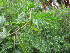  ( - PPRI-0030)  @11 [ ] No Rights Reserved  Unspecified Unspecified