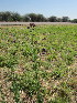  ( - PPRI-0037)  @11 [ ] No Rights Reserved  Unspecified Unspecified