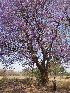  ( - PPRI-0039)  @11 [ ] No Rights Reserved  Unspecified Unspecified