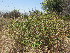  ( - PPRI-0041)  @11 [ ] No Rights Reserved  Unspecified Unspecified