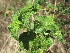  ( - PPRI-0041)  @11 [ ] No Rights Reserved  Unspecified Unspecified