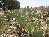  ( - PPRI-0049)  @11 [ ] No Rights Reserved  Unspecified Unspecified