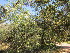  ( - PPRI-0055)  @11 [ ] No Rights Reserved  Unspecified Unspecified