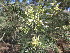  ( - PPRI-0055)  @11 [ ] No Rights Reserved  Unspecified Unspecified