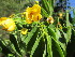  ( - PPRI-0056)  @11 [ ] No Rights Reserved  Unspecified Unspecified