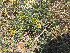  ( - PPRI-0062)  @11 [ ] No Rights Reserved  Unspecified Unspecified