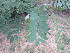  ( - PPRI-0085)  @11 [ ] No Rights Reserved  Unspecified Unspecified