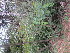  ( - PPRI-0085)  @11 [ ] No Rights Reserved  Unspecified Unspecified
