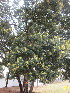  ( - PPRI-0089)  @11 [ ] No Rights Reserved  Unspecified Unspecified