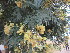  ( - PPRI-0089)  @11 [ ] No Rights Reserved  Unspecified Unspecified
