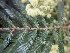  ( - PPRI-0089)  @11 [ ] No Rights Reserved  Unspecified Unspecified